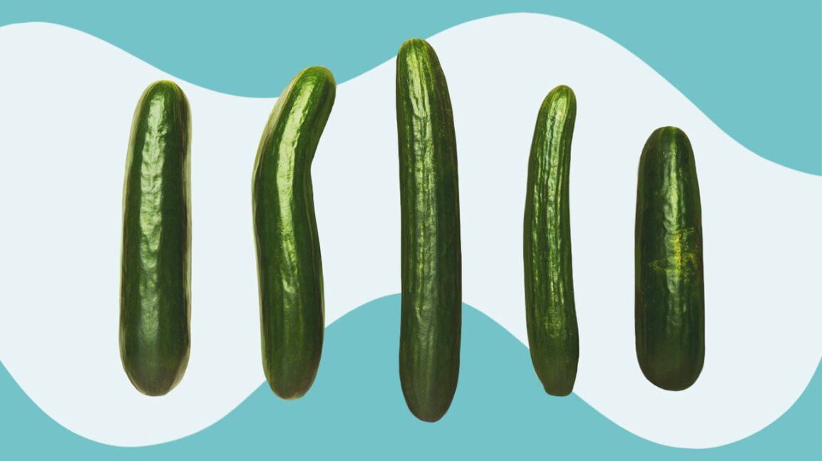 Cucumber of different sizes